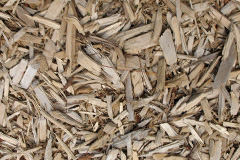 biomass boilers Caputh